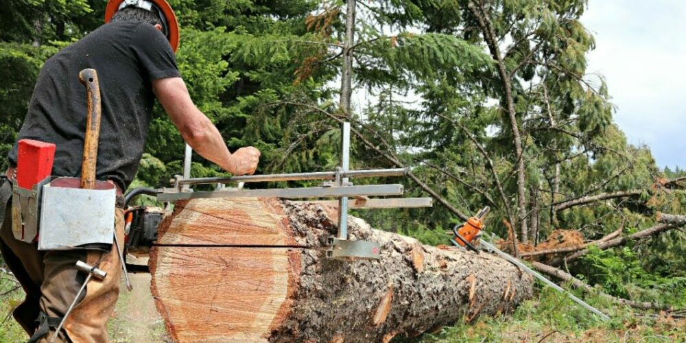 Best Chainsaw Mill Reviews